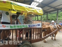 성주군 금수면 가나안 농장  ‘돌봄농장 시범운영’