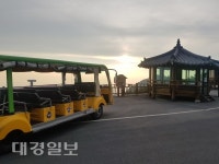 비슬산에서 즐겁게 여름나기 하세요