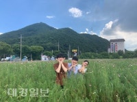 대구 달성군, 논공삼거리 코스모스단지에 초대합니다