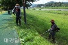 상주 계림동, 추석맞이 환경정비 실시