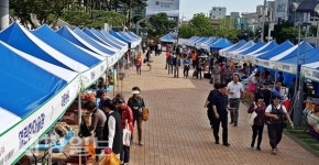 포항시, 추석맞이 직거래장터 운영