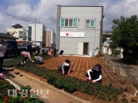 경주시 안강4리 주민들, 우리 마을 꽃 심기