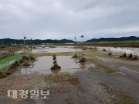 폐허가 된 포항 흥해 곡강천 체육시설물