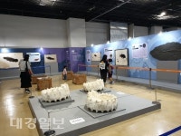 국립대구과학관, 화석특별전 개최