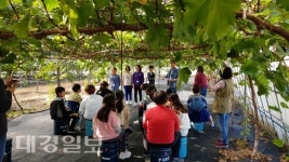 경주시농업기술센터, 농업·농촌체험 현장교육 강화