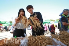 “영주 풍기인삼 최고” 글로벌 건강축제 인기 재확인