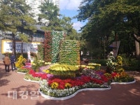 대구 도심공원, 국화 향기 가득한 가을꽃 한마당 개최