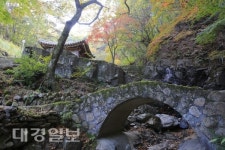 [사진으로 읽는 세상]동학의 발상지 용담정의 가을