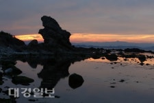 [사진으로 읽는 세상]변화의 희망을 꿈꾸며