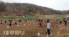 수성구 주말농장, 14일까지 선착순 분양
