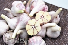 슈퍼푸드 의성토종마늘 먹고, 내 몸의 면역력을 높이자