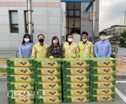 상주시, ‘지역 미나리 팔아주기 운동’ 대대적 전개