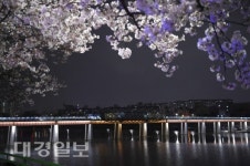 대구 동구 아양기찻길, 대한민국 야간관광 100선 선정