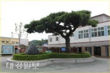 김천시에는 100년 역사 자랑하는 명물이 있다