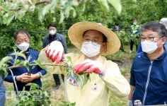 [사진] 농촌일손돕기 동참