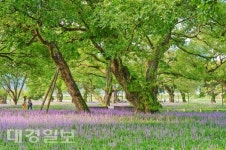 [특집] 성주에서 즐기는 언택트 성주 힐링 관광 10선