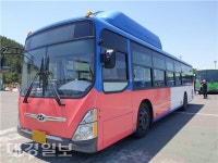 4색 장미 빛깔로 물들인 포항 시내버스