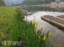 시민 휴식 명소로 거듭 태어난 상주 북천