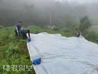 상주 중동면, 태풍바비대비 저수지 제방 방수포로 덮어
