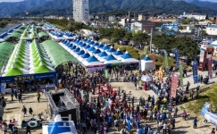 영주시, '2020 경북영주풍기인삼축제' 온라인 개최