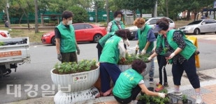 서구 내당4동 새마을단체, 지역 내 마을화분에 가을꽃 심기 봉사