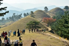 고령 지산동 고분군  가야고분군으로 유네스코 세계유산 등재신청 대상 선정