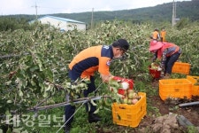포항북부소방서,태풍 피해 복구작업 펼쳐