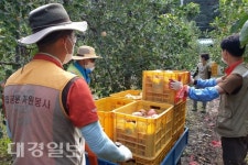 경주국립공원 내 마을주민 태풍피해 복구 지원