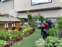 대구시농업기술센터, 대구시민힐링관 조성·운영