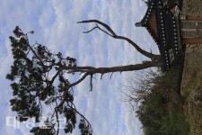 [사진으로 읽는 세상] 오도1리의 해신당