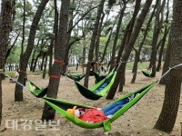 포항시 남구보건소, 코로나 블루 극복마음의 숲프로그램 운영