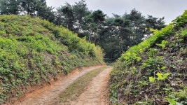 [김상조의 문화유산답사기] 66. 서천 건지산성
