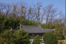 묘견암 정법스님 , 상주시보건소에도시락기탁