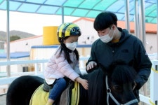 말산업 1번지 영천에 말문화체험관 개장