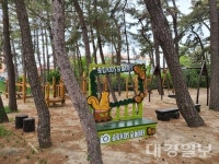 송림 키즈 숲 놀이터 어린이날 개장