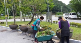 꽃이 활짝, 향기로운 상주 내서면!