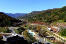 포항의 색다른 힐링 스팟, 산과 계곡 그리고 캠핑