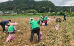 공검면 새마을단체, 일손 돕기