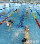 안동시시설관리공단 청소년수련관 수영장 자유수영 회원 모집