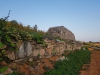 [김상조의 문화유산답사기] 102. 고흥 절이도목장성