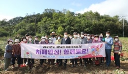 의성 삼산1리 치매보듬마을 고구마 수확