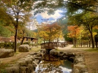 소백산국립공원 고객만족 콜백서비스 제공