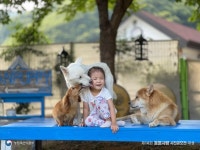 道 동물위행시험소, 동물사랑사진 전시
