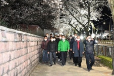 김천시, 송설로 경관조명 설치