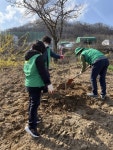 김천시 대곡동 새마을협의회, 노증리마을 나무심기