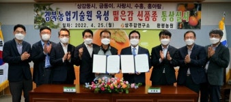 경북농기원, 떫은감 신품종 보급 확대
