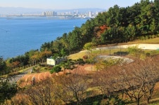 포항시, 환호공원 특급호텔 유치 본격화