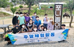영천, 말 테마파크서 주말 체험활동