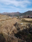 [김상조의 문화유산답사기] 159. 창원 웅천읍성