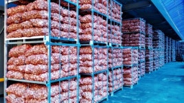 경북 최초 마늘 공판장 영천에 들어선다